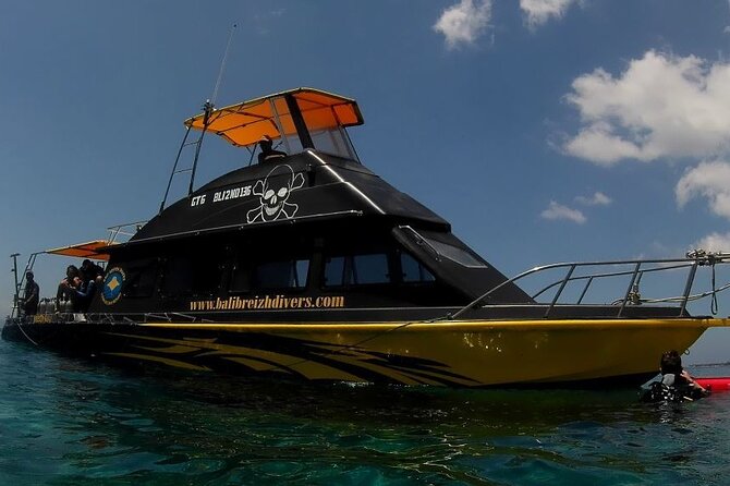 Scuba Diving in Nusa Penida Island and Manta Point - Key highlights at a glance