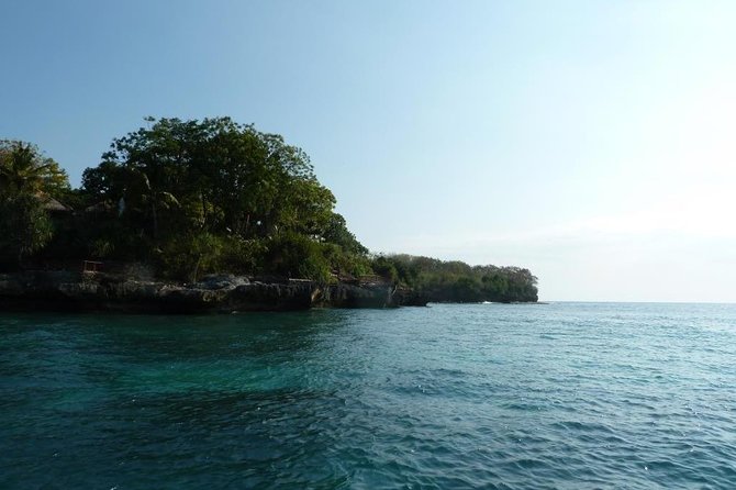Scuba Diving in Nusa Penida Island and Manta Point - Who this tour fits best (and who should reconsider)