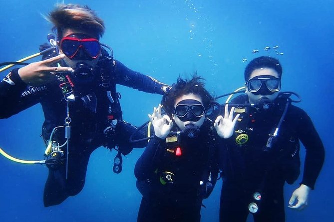 Scuba Diving in Nusa Penida - Manta Point - Who This Works Best For