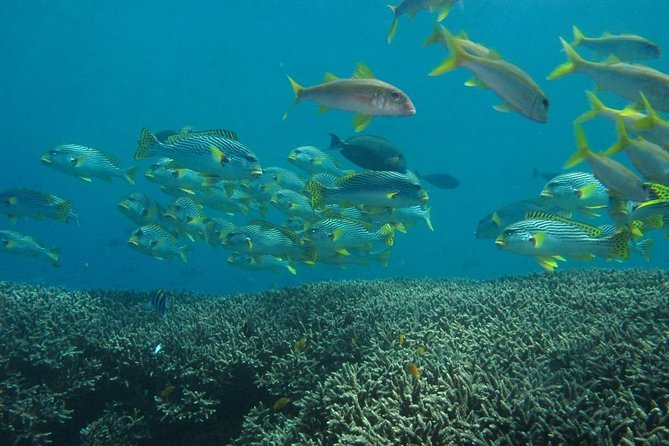 Scuba diving in PADANG BAY BALI - Briefing, Gear, and the Fishing Boat Start