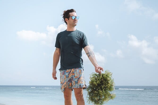 Seaweed Farming Activity and Sightseeing at Diamond Beach - Key highlights to notice before you go