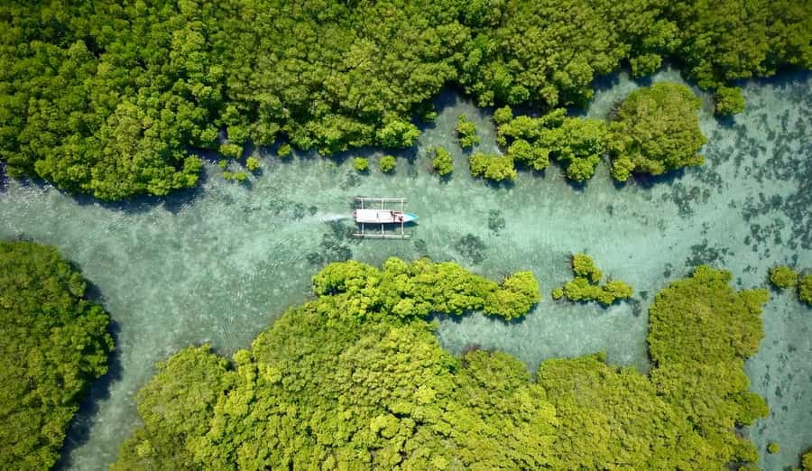 Secret Gili's Lombok: Gili Kondo, Kapal, Petagan, Bidara - A Private Secret-Gilis Day That Feels Calm, Not Chaotic
