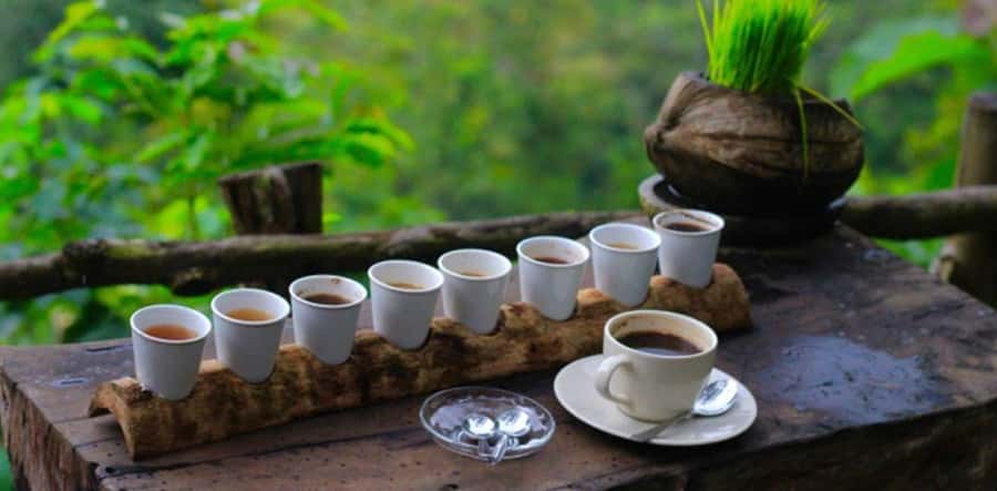 Sekumpul & Banyumala Waterfalls – Private North Bali Tour - Hotel pickup, private air-conditioned transport, and why it matters