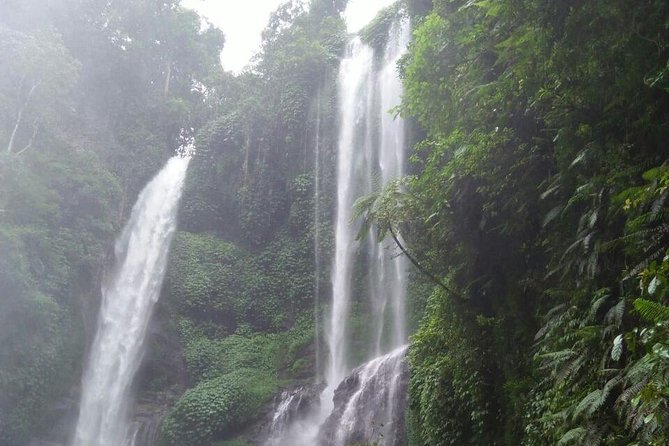 Sekumpul waterfall & aling2 waterfall with private service (including activity) - Aling-Aling Waterfalls: Cliff Jumps (16–48 ft) and Slides with Safety Gear