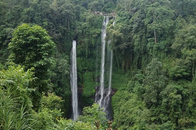 Sekumpul waterfall & aling2 waterfall with private service (including activity) - Should You Book This Private Sekumpul & Aling-Aling Service?