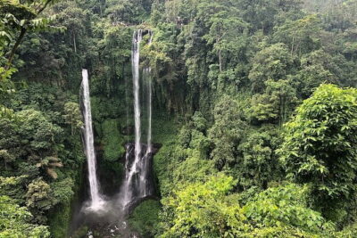 Sekumpul Waterfall All-Inclusive Tour with Guide and Transport - How Hard Is It, Really? Steps, Down-Up Work, and Who Should Plan On What