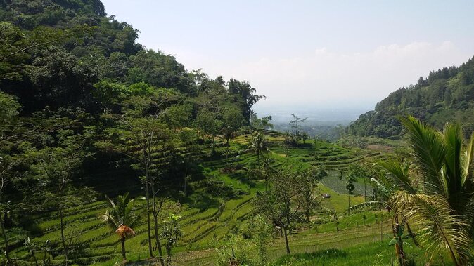 Selogriyo Temple and Trekking Java Rice Terraces, hidden waterfall -Nature Java - Key highlights you’ll feel right away