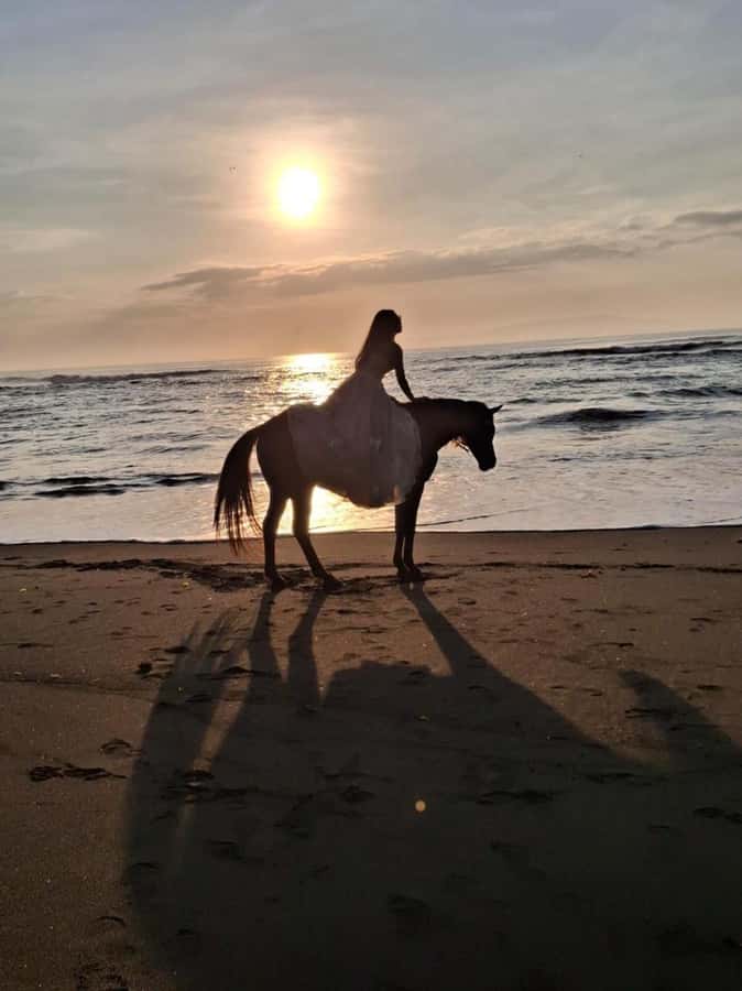 Seminyak: Bali Horse riding Adventure Seminyak Beach - Where You Start in Seminyak and How the Ride Is Run