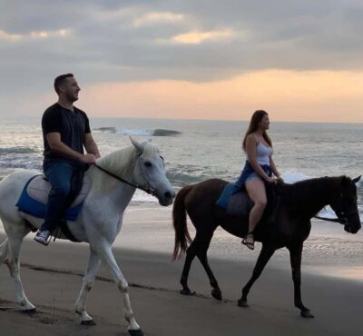 Seminyak: Bali Horse riding Adventure Seminyak Beach - Price and Time: Getting Value From a 30–60 Minute Ride