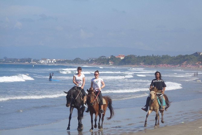 Seminyak Beach Bali Horse Riding - Meeting at Mesari Stables and staying on schedule