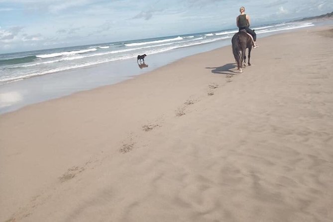Seminyak Beach Bali Horse Riding - Price and value: $63.95 for an hour—does it pencil out?