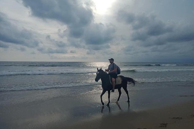 Seminyak Beach Bali Horse Riding - Who this tour suits best (and who should skip)