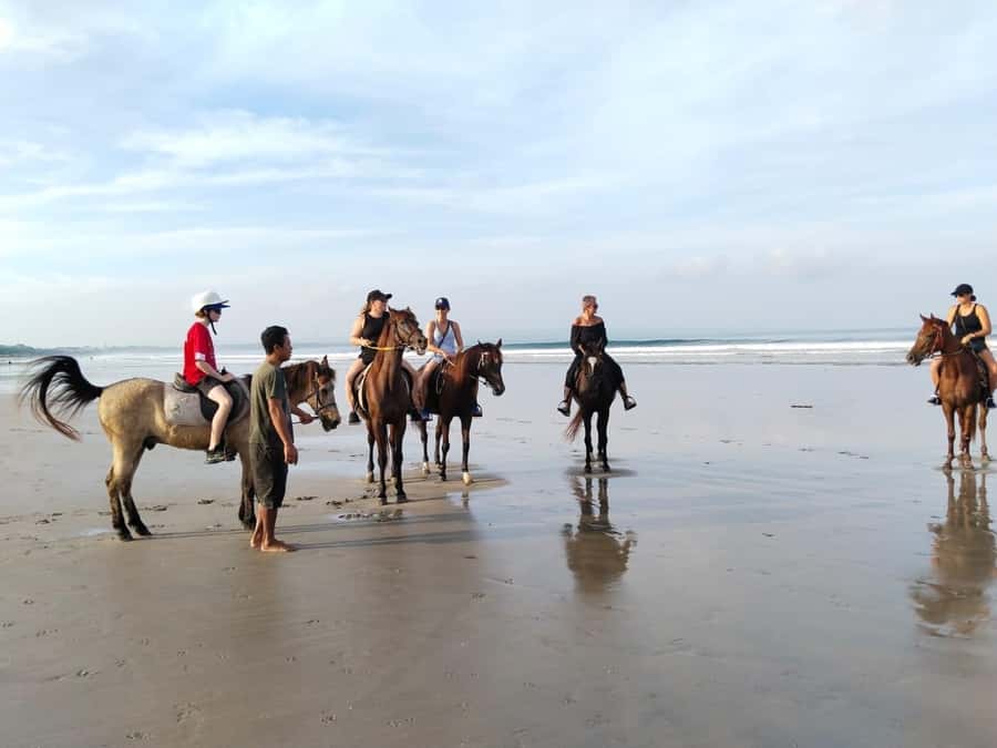 Seminyak Beach Horse Riding Experience - Why This Seminyak Horse Ride Works Better Than You Think