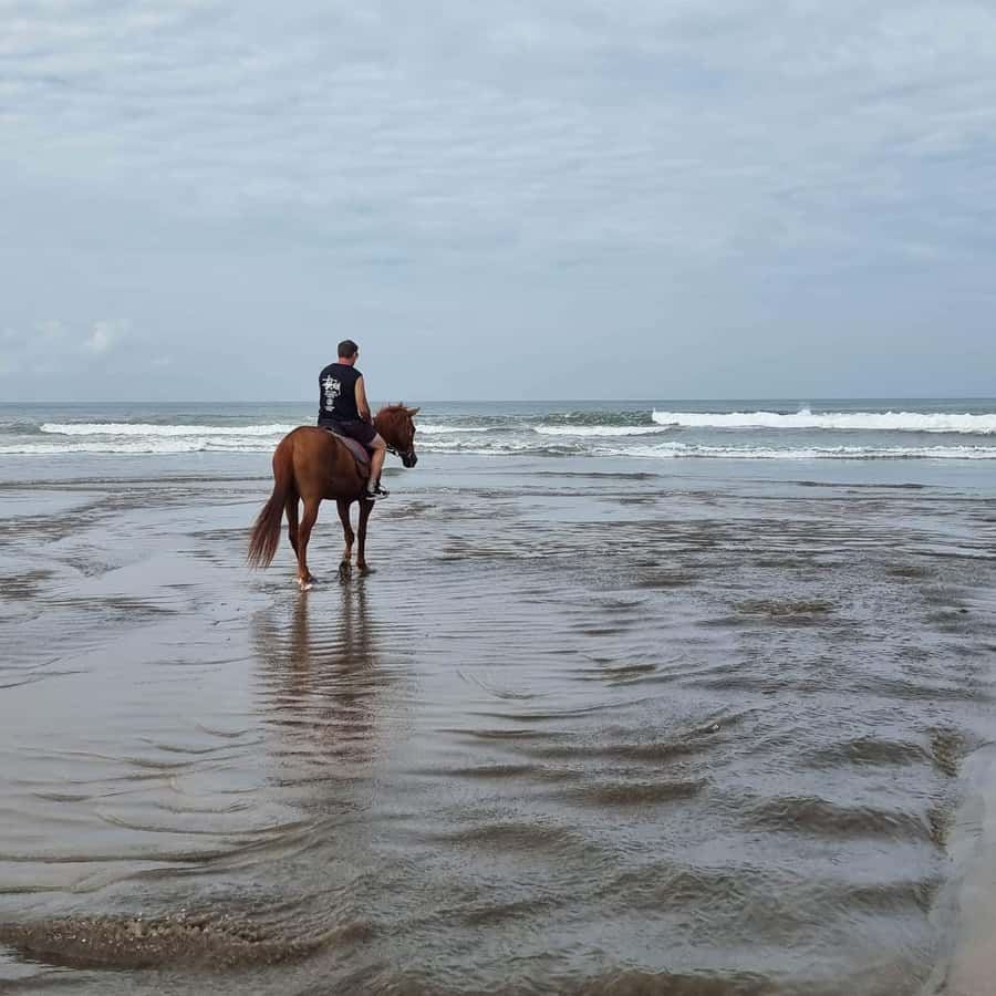 Seminyak Beach Horse Riding Experience - What the Beach Scenery Adds (Especially Near Legian)