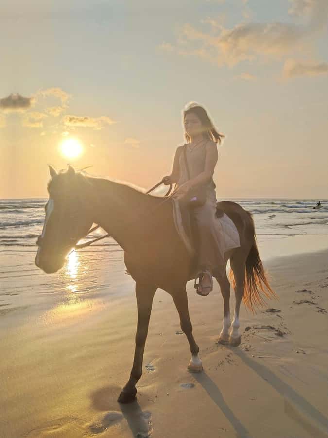 Seminyak Beach Horse Riding Experience - Who Should Book This, and Who Should Skip It