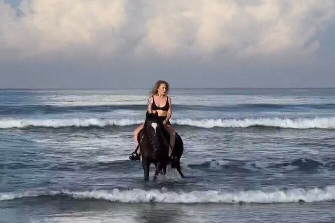 Seminyak beach Private Bali Horse Riding - Key things to know before you book
