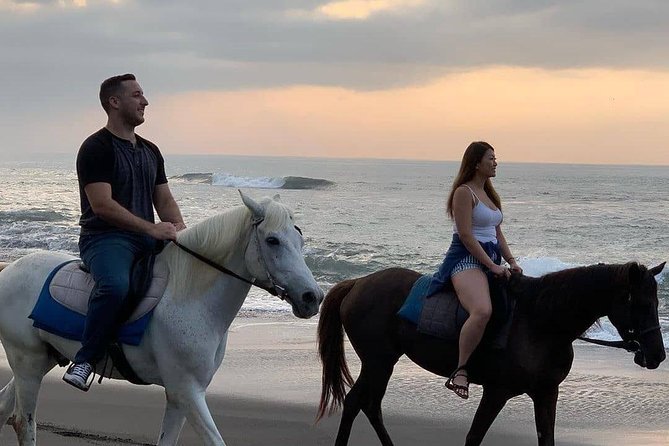 Seminyak beach Private Bali Horse Riding - Price and value: $44.99 for an hour that’s actually worth it