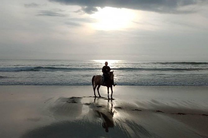 Seminyak beach Private Bali Horse Riding - What to bring (and what to plan around)