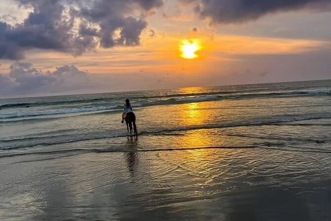 Seminyak beach Private Bali Horse Riding - Your 1-hour ride: what it actually feels like on the sand