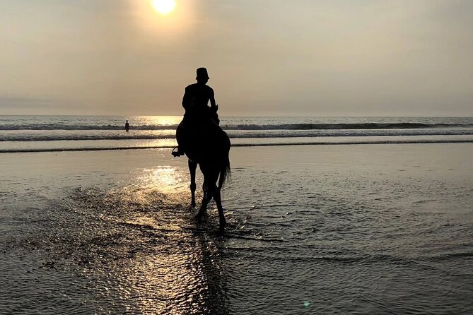 Seminyak Horse back riding In the beach - Horses and comfort: quiet ponies, pro guides, and the 85 kg limit