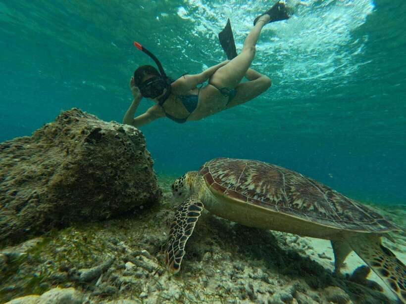 Shared Snorkeling tour around 3 island (GoPro photoshoot) - Key highlights to zero in on