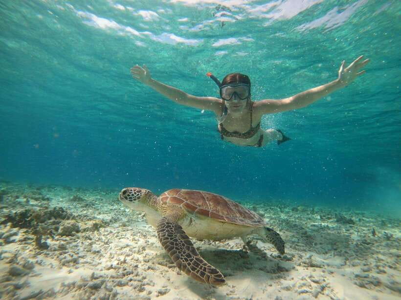 Shared Snorkeling tour around 3 island (GoPro photoshoot) - A shared 3-island snorkel with an underwater statue and turtle swim