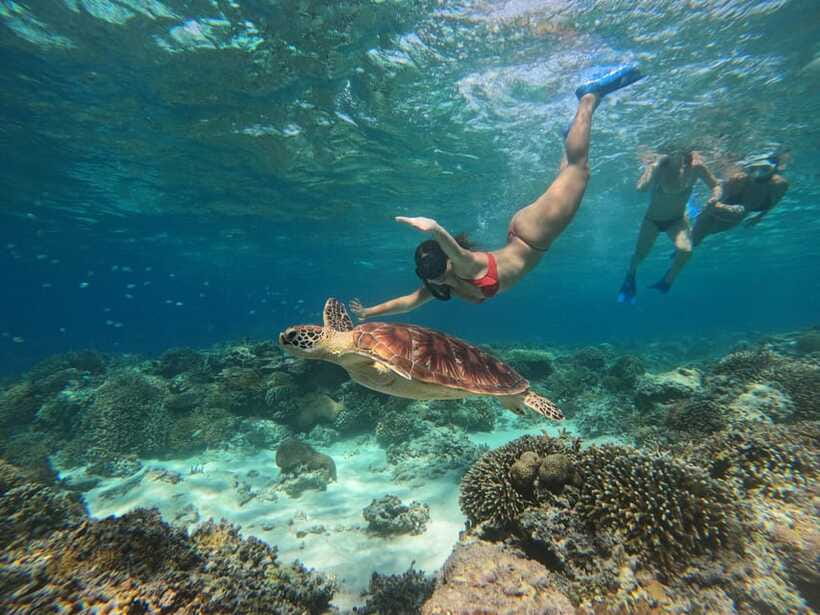 Shared Snorkeling tour around 3 island (GoPro photoshoot) - Who this tour suits best (and who should skip it)