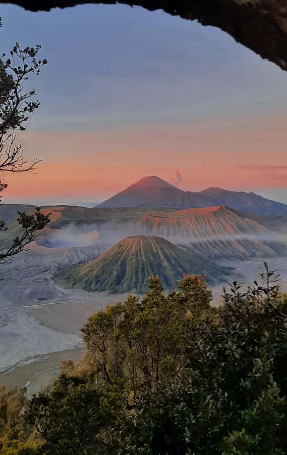 Shared Tour Bromo Start Cemorolawang Probolinggo - Riding to the caldera: why the 4x4 jeep is part of the experience