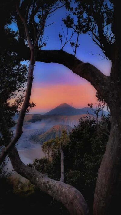 Shared Tour Bromo Start Cemorolawang Probolinggo - The sunrise viewpoint game: Kingkong, Perahu, and Bukit Cinta Hills