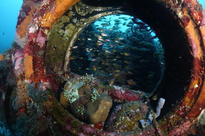 Shipwreck Diving in Tulamben - Key points before you book Neptune’s Tulamben wreck day