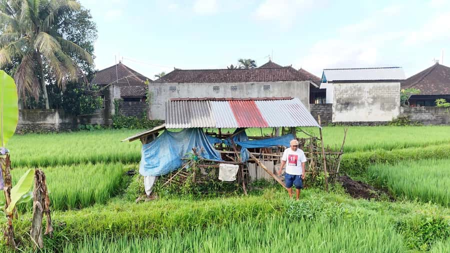 Sidemen rice terraces trek and local village walk - Walking Sidemen Village First: How You’ll See Local Life