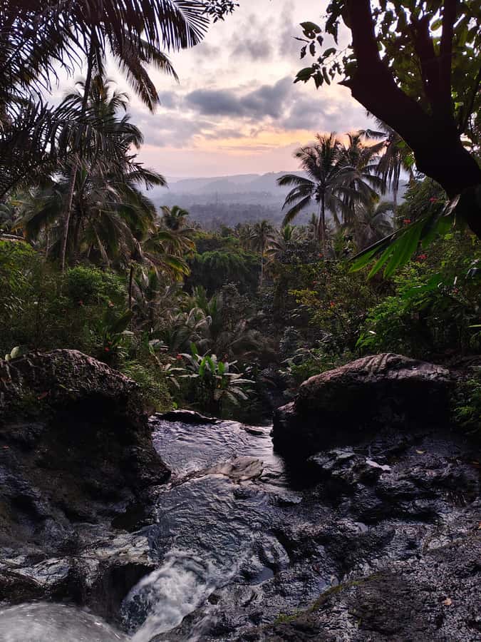 Sidemen: Rice Terraces, Waterfall, & Village Tour - Rice terraces in Sidemen: more than a pretty first stop
