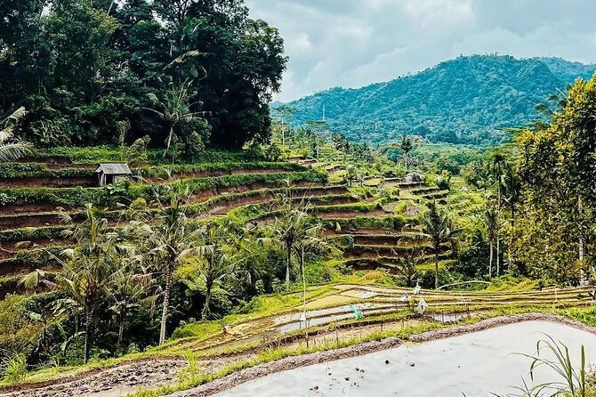 Sidemen Trekking: A Walk from a Different Perspective - Why Sidemen feels different from the usual Bali loop