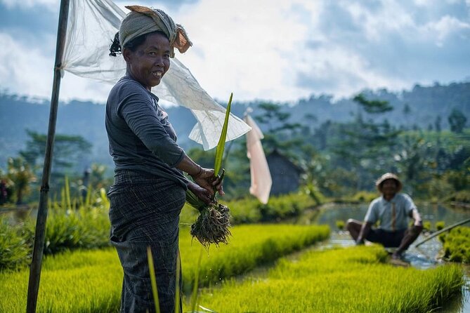 Sidemen Trekking: A Walk from a Different Perspective - Meeting point at Pasar Sidemen: get your bearings fast