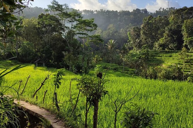 Sidemen Trekking: A Walk from a Different Perspective - Dukuh village: slow down, watch daily life