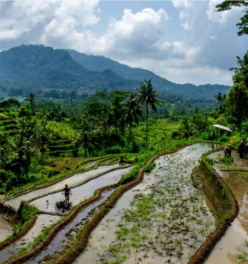 Sidemen Trekking: A Walk from Different Perspective - Key highlights worth showing up for