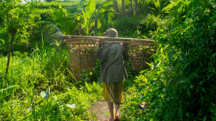 Sidemen Trekking: A Walk from Different Perspective - Stop-by-stop: what you’ll actually see and why each part matters
