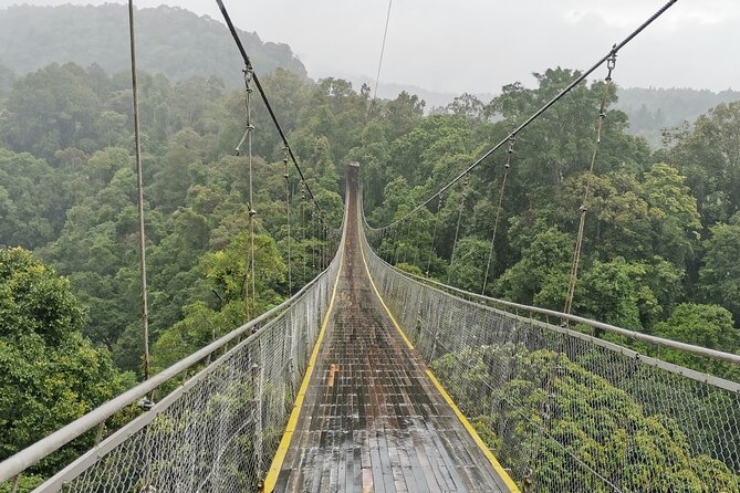 Situ Gunung Waterfall & Suspension Bridge Sukabumi start Jakarta - Situ Gunung suspension bridge: the view is the point (and the walk is fun)