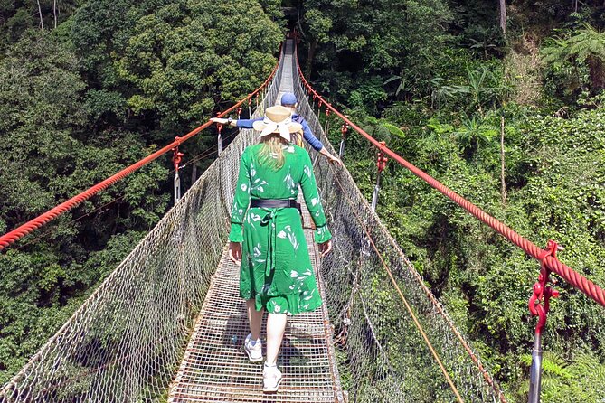 Situ Gunung Waterfall & Suspension Bridge Sukabumi start Jakarta - What else you might see in the park besides the big three