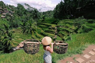 Skip-the-Line: Ubud Tour - All Inclusive Tickets - Private Car, Real Freedom: How the Day Feels