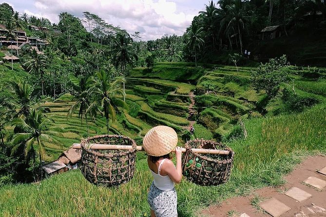 Skip-the-Line: Ubud Tour - All Inclusive Tickets - Private Car, Real Freedom: How the Day Feels