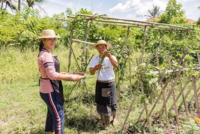 Small-Group Farm Tour & Balinese Cooking Class in Ubud with Kadek - Walking the organic farm with Kadek: what you’ll gather and why
