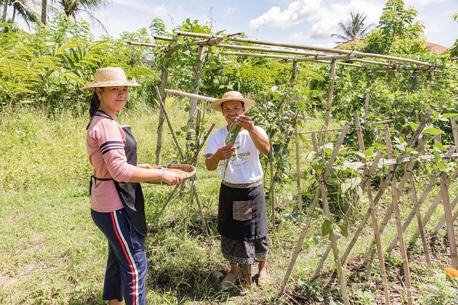 Small-Group Farm Tour & Balinese Cooking Class in Ubud with Kadek - Walking the organic farm with Kadek: what you’ll gather and why