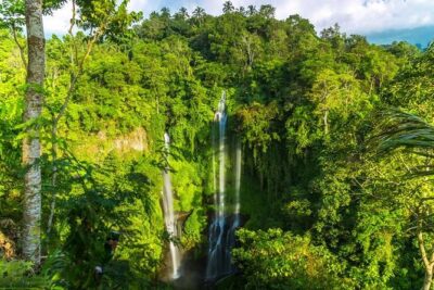 Small-Group Sekumpul Waterfall Jungle Trek with Lunch - Hotel Pickup, Breakfast, and a Small Group That Actually Helps