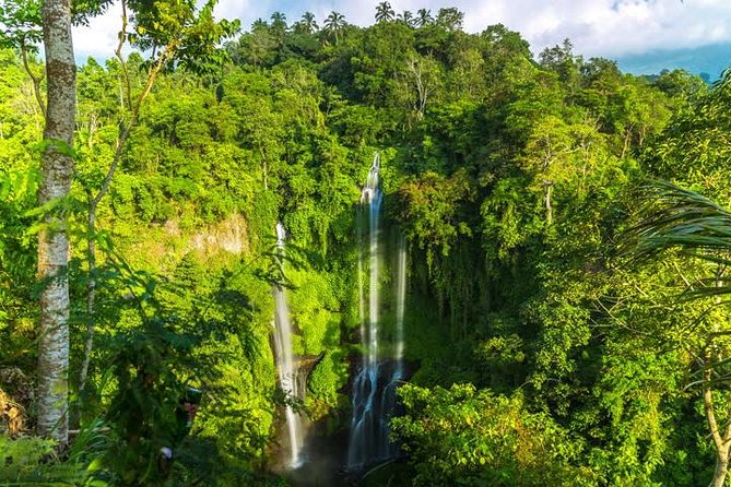 Small-Group Sekumpul Waterfall Jungle Trek with Lunch - Hotel Pickup, Breakfast, and a Small Group That Actually Helps