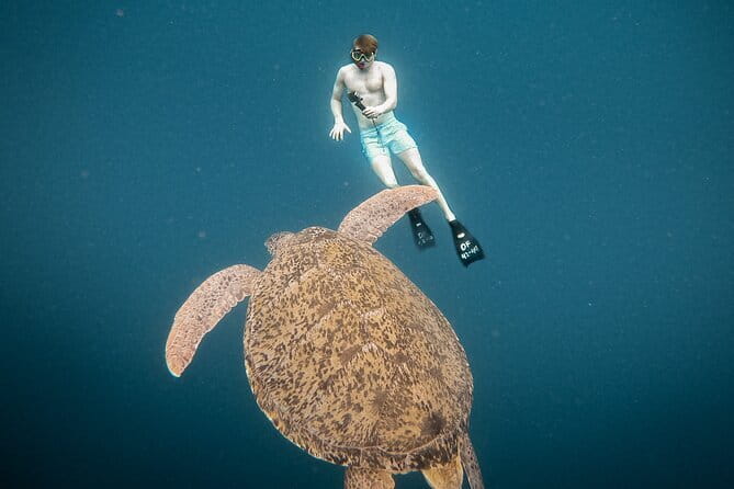 Snorkeling 3 Spots with GoPro & West Coast Tour Nusa Penida - Meeting point, timing, and how the day typically flows