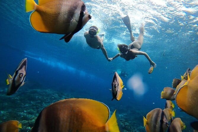 Snorkeling 3 Spots with GoPro & West Coast Tour Nusa Penida - Gamat Bay snorkeling: reefs, fish, and the calmer feel