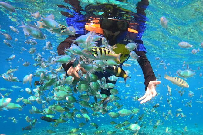 Snorkeling 3 Spots with GoPro & West Coast Tour Nusa Penida - West coast land tour: Kelingking, Broken Beach, and Angel’s Billabong