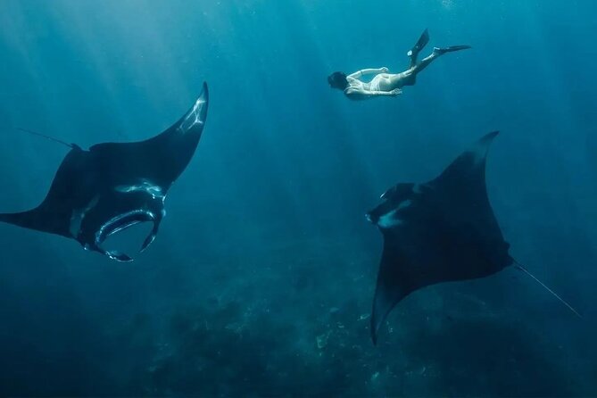 Snorkeling 4 Spots, Manta Rays, Tembeling Pool & Kelingking Beach - Key points that matter before you go