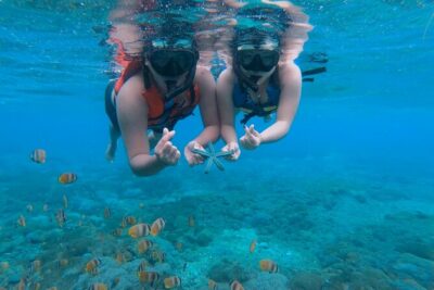 Snorkeling 4 Spots, Manta Rays, Tembeling Pool & Kelingking Beach - Snorkeling 4 spots: the real structure of your time in the water